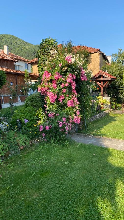 Guest House Simona Szapareva Banja Kültér fotó